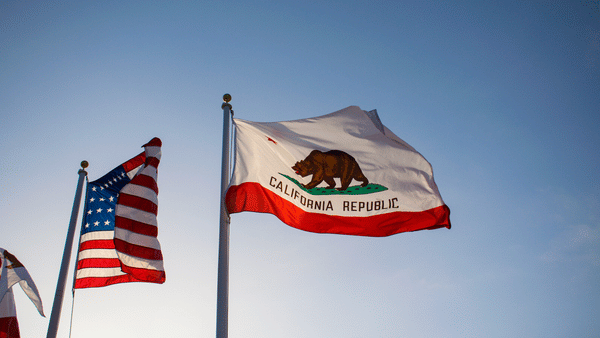 State flags made in the USA by Kronberg's Flags and Flagpoles