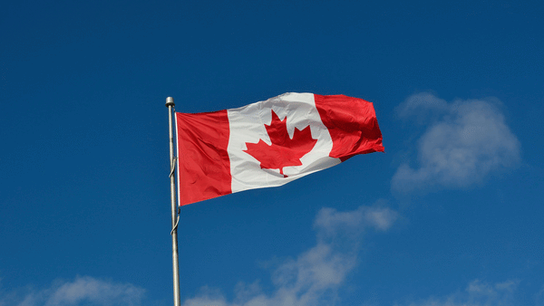 International nylon flags