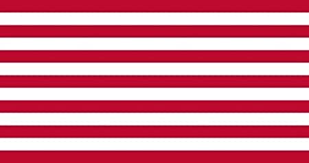 Sons of Liberty 3' x 5' Flag